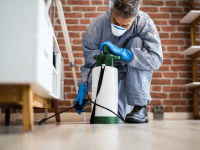 About Garden City Integrated Pest Management - integrated pest management experts in Garden City