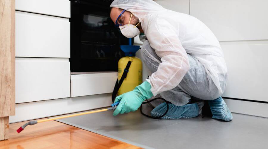 Why choose Garden City Integrated Pest Management for integrated pest management in Garden City